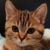 Zdjęcie profilowe Wiki