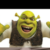 Zdjęcie profilowe Święty shrek